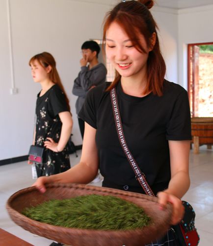 【相约春天】春风十里满山青 不如我们采茶去(图4)